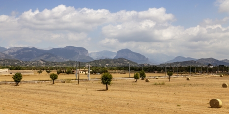 Field landscape with hay bales, Mediterranean vegetation and iconic mountains in the background (Puig d'Alaro and Puig de s'Alcadena) Located near Alaro town in Mallorca, Balearic Islands, Spainの写真素材
