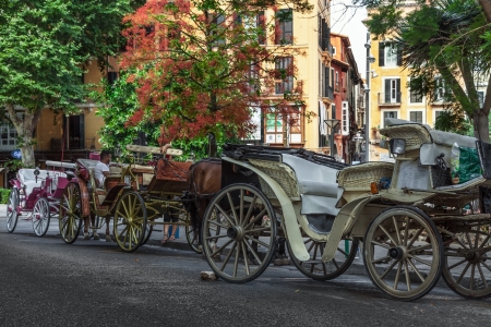 Palma de Mallorca, Spain- July 9, 2012: Row of old fashioned carriges and a cabby waiting for...