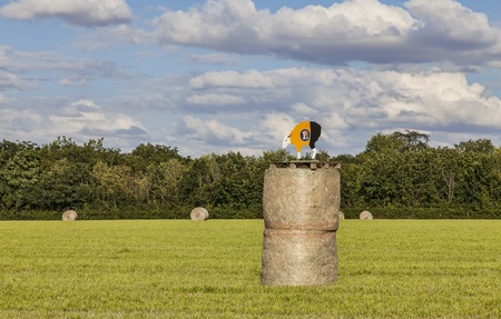 Thivars, France- July 20, 2012: Hay bales specific decarated one day before the passing of the...