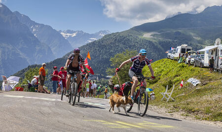 Col de Val Louron-Azet, France- July 07,2013  Group of amateur cyclists and their dog climbing the difficult road to Col de Val Louron Azet in Pyrenees Mountains before the arrival of the peloton during the stage stage 9 of the 100 edition of Le Tour de Fのeditorial素材