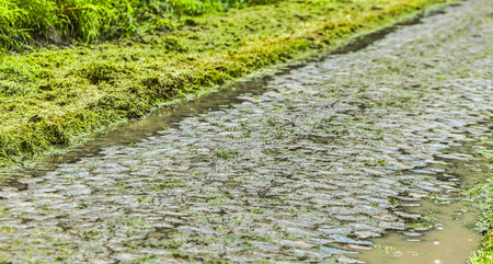 Detail of a cobbelstone road located in the North of France near Lille. On such roads every year is...