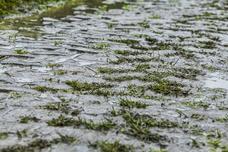 Detail of a cobbelstone road located in the North of France near Lille. On such roads every year is...