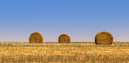 Three hay bales on a field in summer.の写真素材