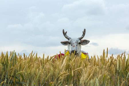 Quievy,France - July 07, 2015: A persons in a stag disguise is hiding in the cereal field during the stage 4 of Le Tour de France 2015 in Quievy, France, on 07 July,2015.のeditorial素材