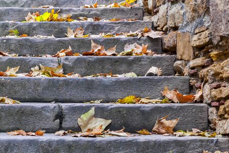 Image of stone stairs with autumn leaves on them.