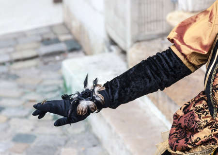 Annecy, France, February 23, 2013: Detail of a glove with decorations in Annecy, France, during a Venetian Carnival which celebrates the beauty of the real Venice.のeditorial素材