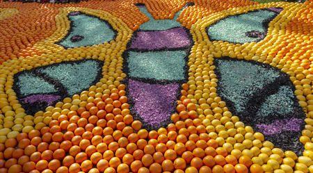 Menton, France - 16.09.2019: Detail of a butterfly pattern made by citrics (lemons and oranges) displayed at the Citrics Motifs Exhibition during the Lemon Festival (Fete du Citron) held in Menton between 16.02-03.03.2019のeditorial素材