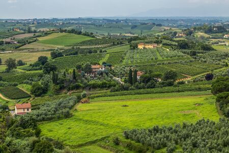 Beautiful view of the geen Tuscany hills during a summer morning.の写真素材