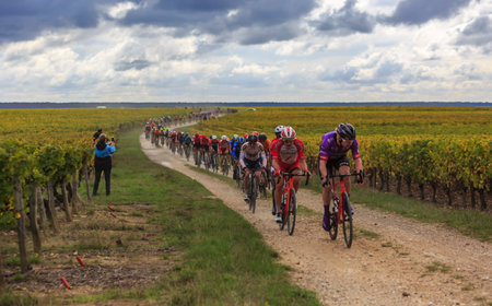 Noizay, France - October 11, 2020: The peloton riding in the vineyards during Paris-Tours 2020のeditorial素材