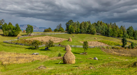 Autumn hilly landscape in Apuseni Mountains, Transylvania, Romania.の写真素材