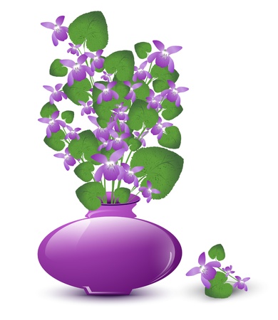 bunch of wild violet in vase over white backgroundのイラスト素材