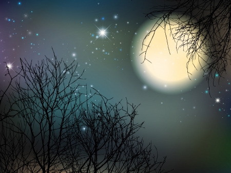 Night With Big Moon and Treesのイラスト素材