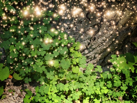 St Patricks Day  Shamrock Leaves With Lightsの写真素材