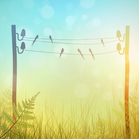 Vintage Rural Landscape Meadow With Swallowsのイラスト素材