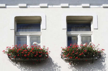 Windows With Flowersの写真素材