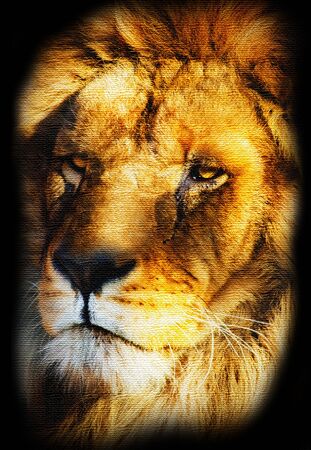 Illustration of Golden Lion Portrait Canvas Stylizedの写真素材