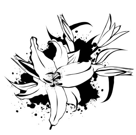 Illustration of Grunge Vintage Lily Flower Bouquet With Splashesのイラスト素材