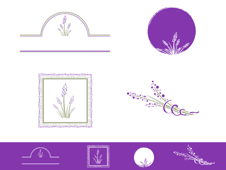 Illustration of Lavender Design Collection Over Whiteのイラスト素材