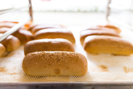 Fresh baked sesame buns ready for sale