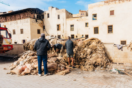Fez, Morocco- February 10, 2015: Pose of a pile of sheep wool being checked by people in Fez, Morocco.のeditorial素材