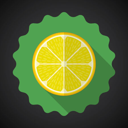 Illustration of Lemon Orange Fruit Flat Icon with long shadowのイラスト素材