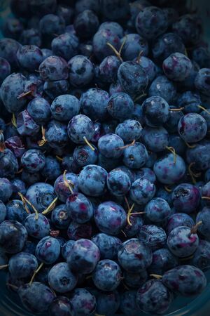 Natural Blueberry Background. Fresh Healthy Blueberry Fruit Textureの写真素材