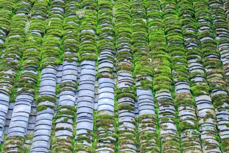 Photo of Mossed Roof Tiles Texture. Old Roof Texture Mossed by Green Grassの写真素材