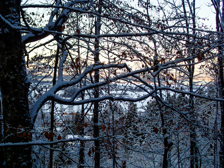 Sunset through the trees in Bavariaの写真素材