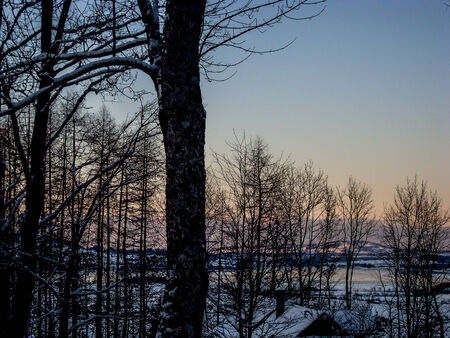 Sunset through the trees in Bavariaの写真素材