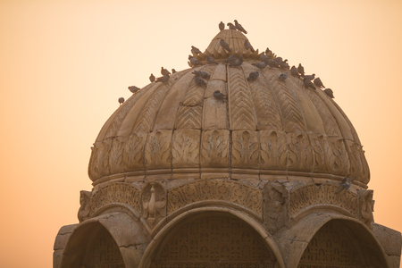 Birds on a dome against morning sunの写真素材