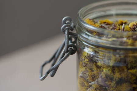 Coltsfootの写真素材