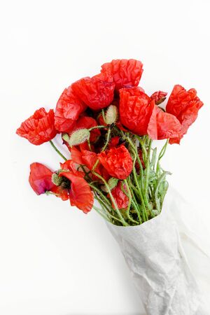 Isolated poppy flower. Spring floral. Bunch of flowers.の写真素材