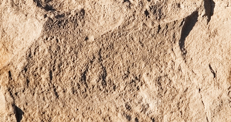 Stone texture