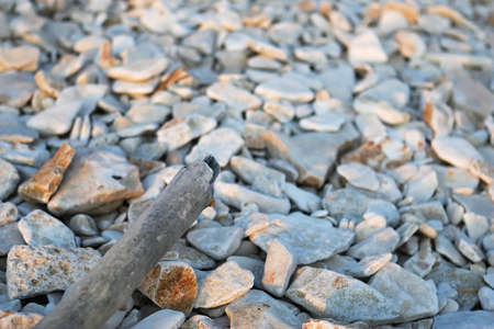 Branch on the stones