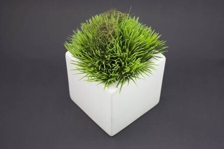 White vase with fake grass on it.の写真素材