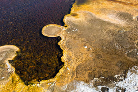 Close detail of a microbial algal mat growing in a hot spring at Yellowstone National Park in Wyoming.の写真素材