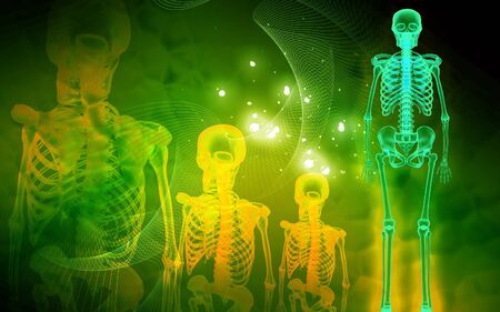 Digital illustration of skeleton in color backgroundの写真素材