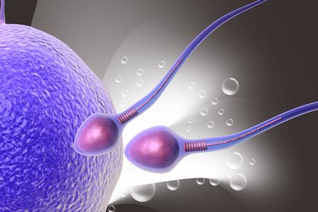 human sperm cells trying to reach an human ovum	