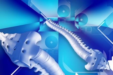 Digital illustration of spine in colour background	