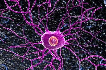 3d Nerve cells	