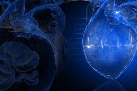 Human heart	の写真素材