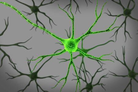 Neuron in isolated background 	の写真素材