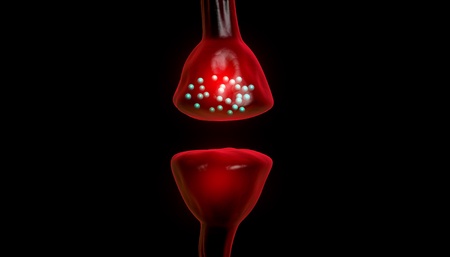 active receptor	の写真素材