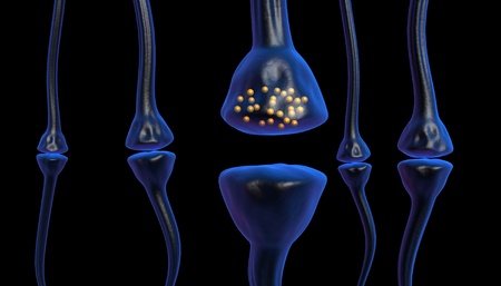 active receptor	の写真素材