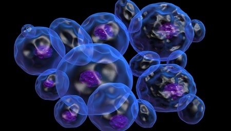 cells	の写真素材