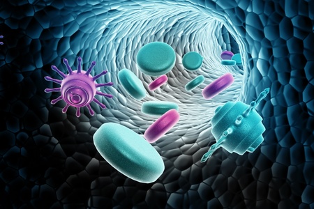 blood cells with virusの写真素材