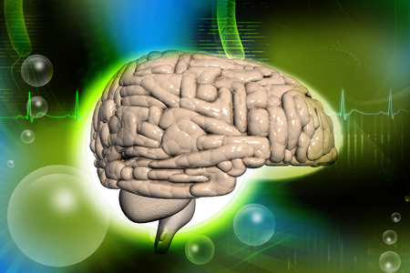 Brain backgroundの写真素材