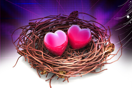 Two love hearts in being protected in a nest. Conceptual designの写真素材