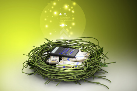 money and calculator protected in nestの写真素材
