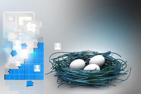 Eggs being protected in a nest.の写真素材